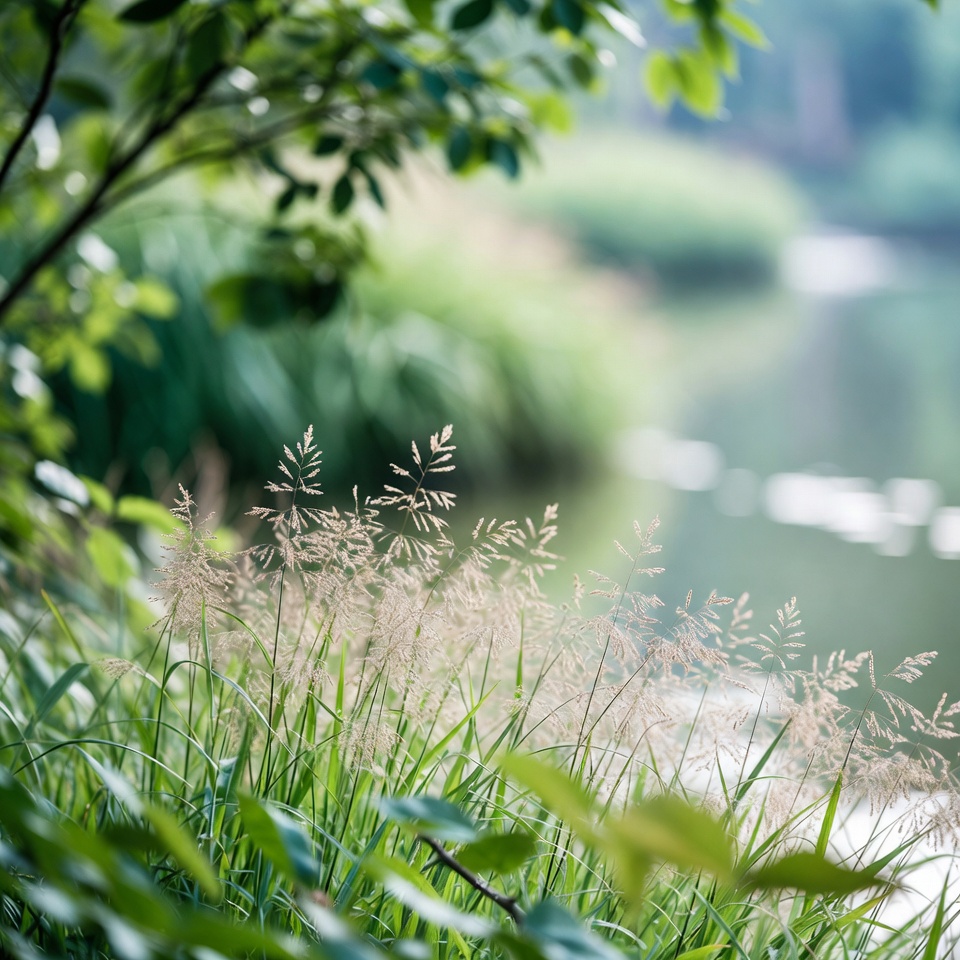 メヒシバの意外な健康効果を発見:健康のための自然療法