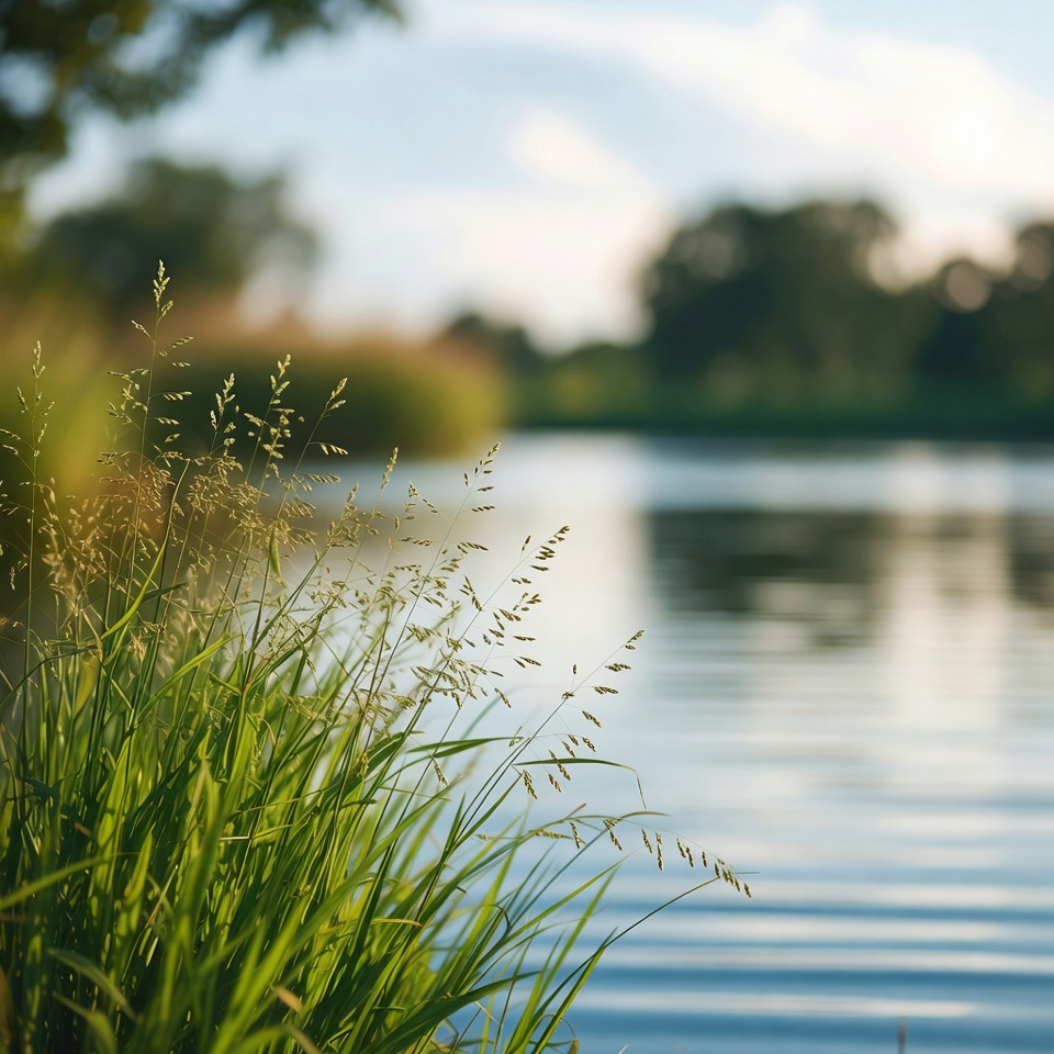 メヒシバの意外な健康効果を発見:健康のための自然療法