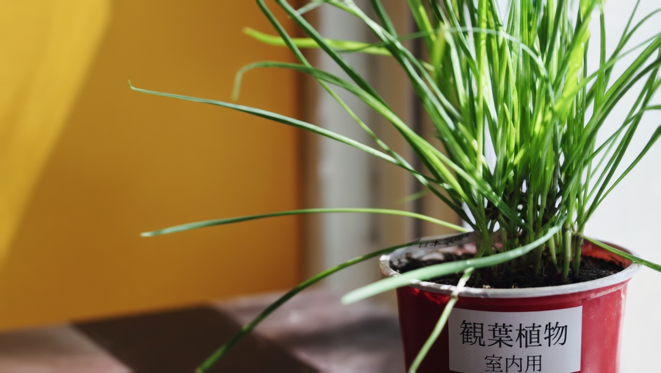 オオバコ（Plantago major）の驚くべき30の効能