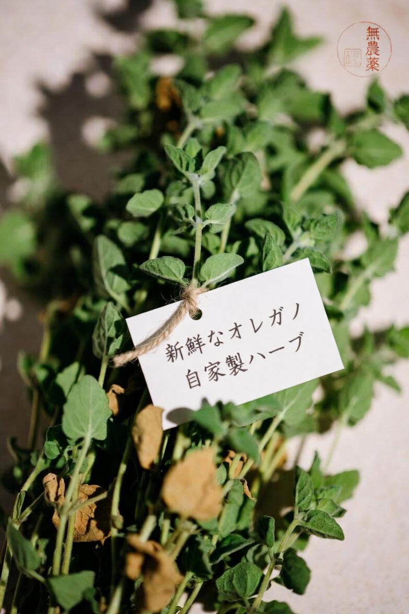 オレガノが際立つ理由とは？