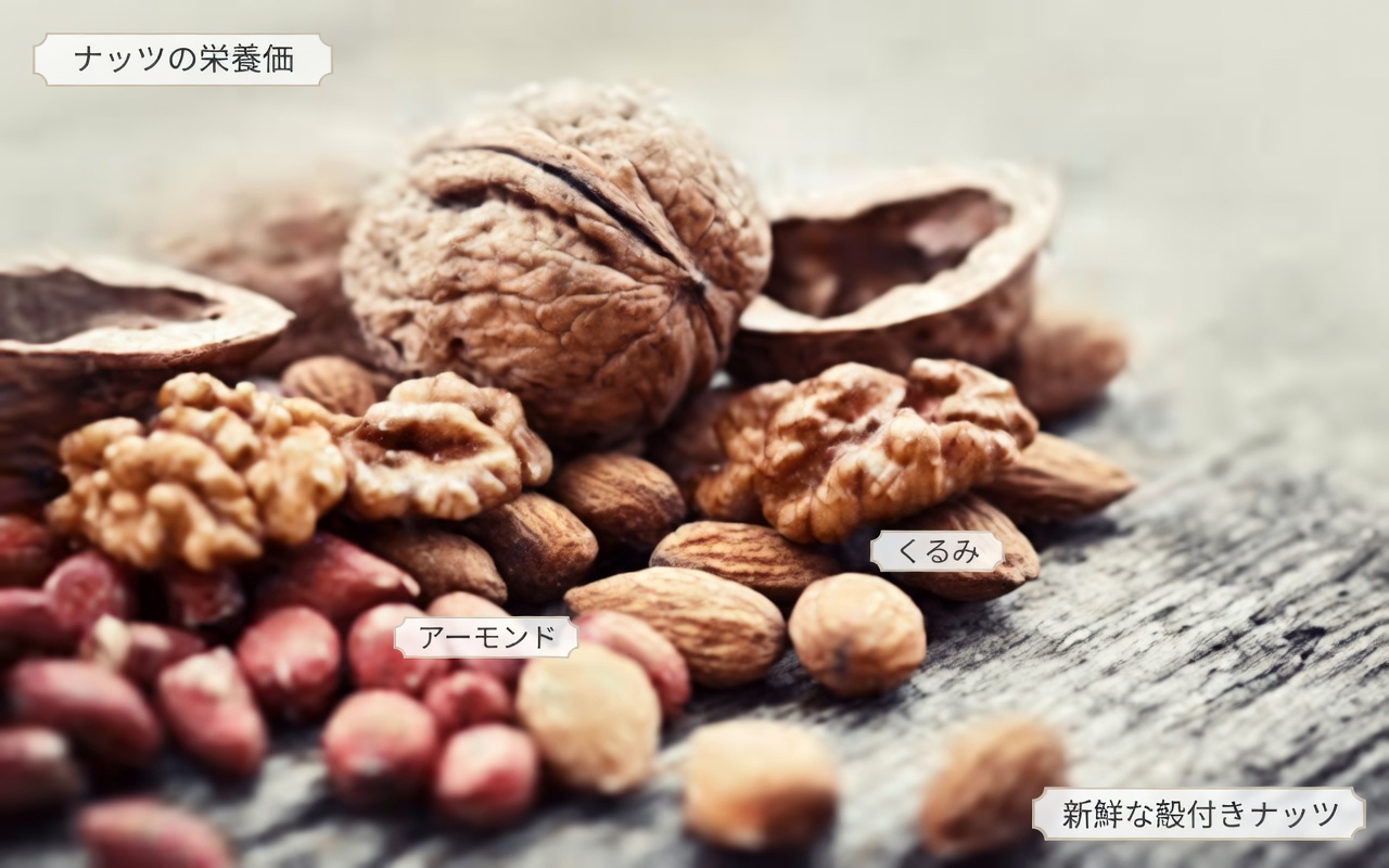 高齢者が長期的な健康習慣を支えるために毎日取り入れられる、身近なナッツ6選