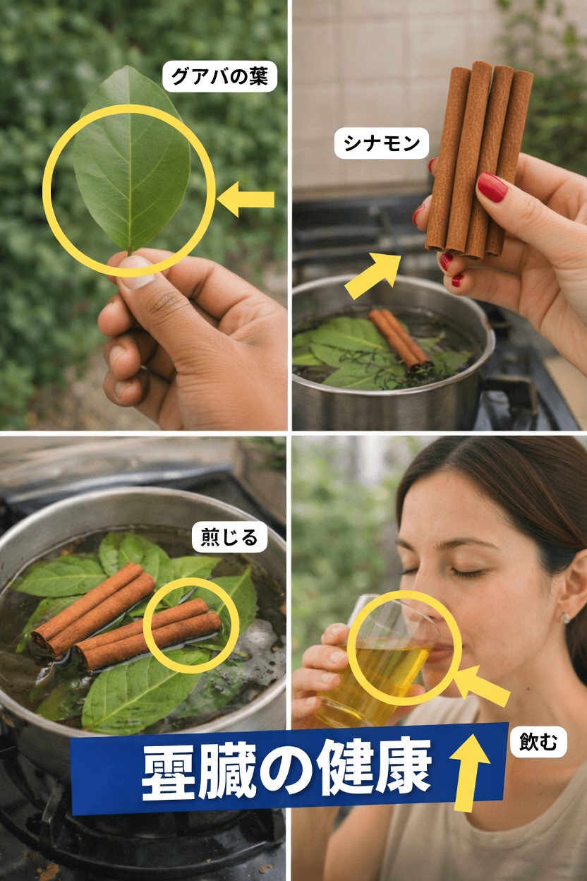 腎臓のサポートにおけるシナモンとベイリーフティーの潜在的な効果を探る