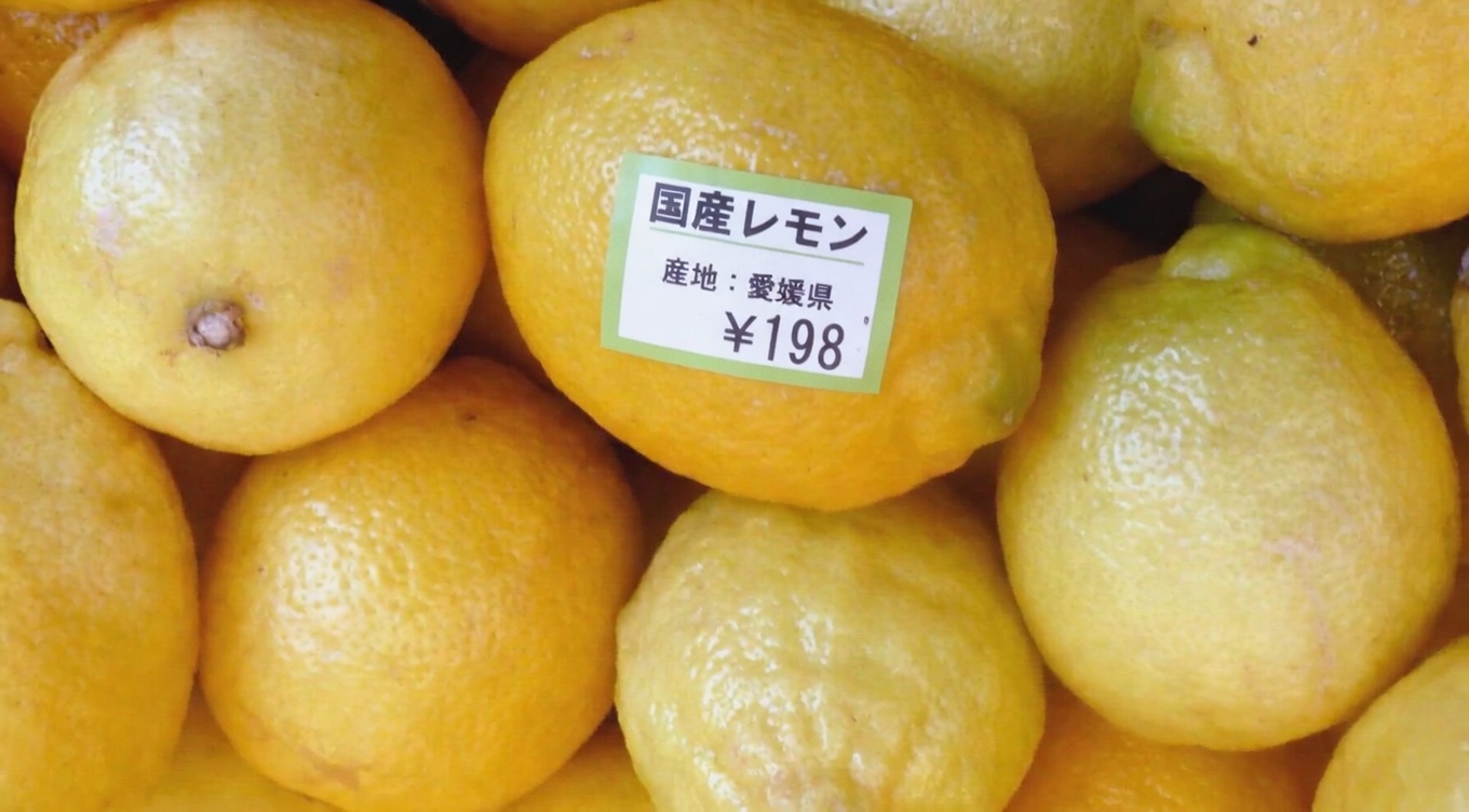 わずか数回の治療でも膀胱や腎臓の感染症に効く天然の抗生物質