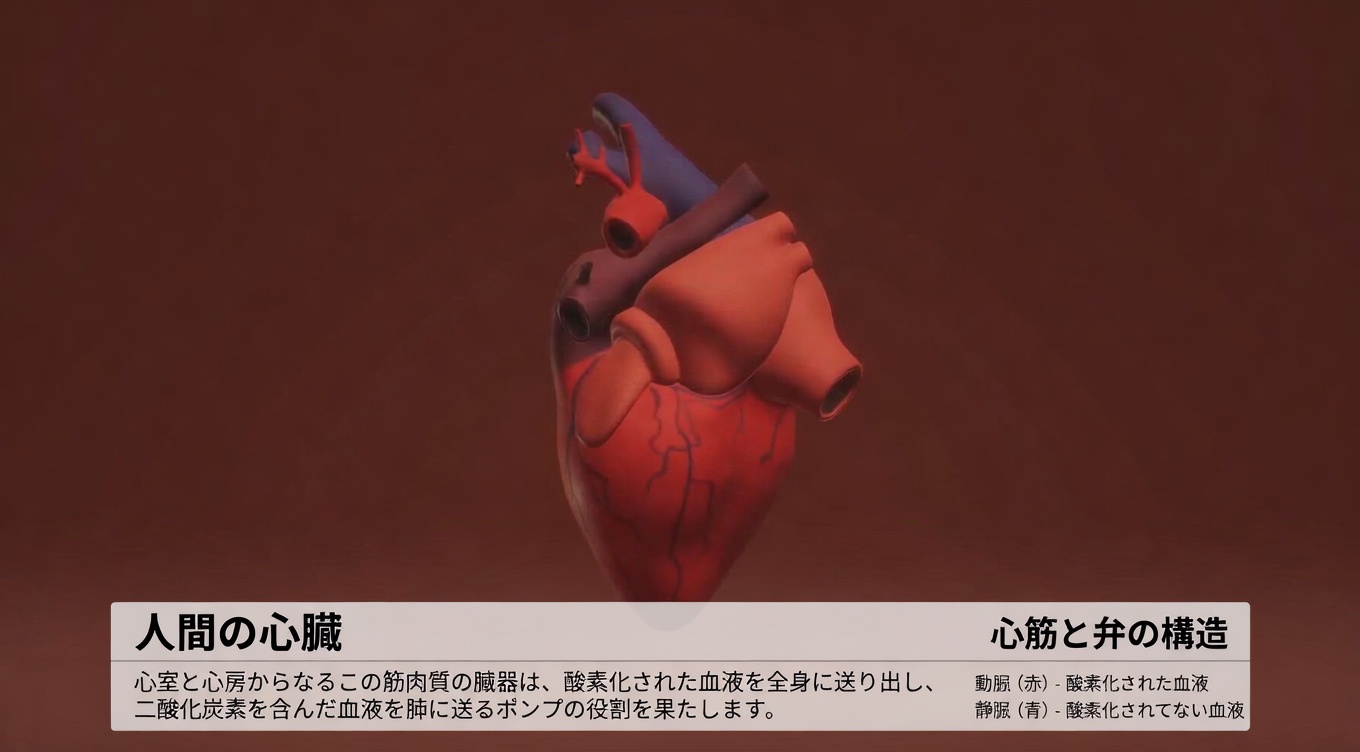 わずか数回の治療でも膀胱や腎臓の感染症に効く天然の抗生物質