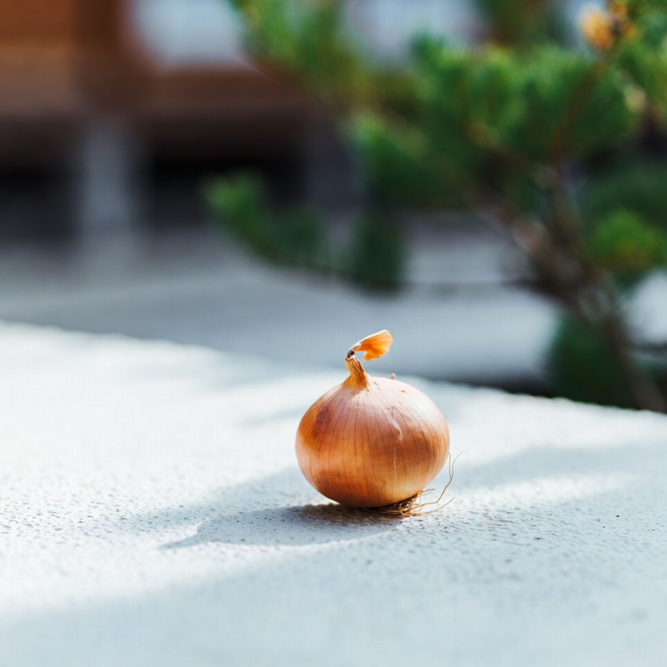 肺を浄化❗ この玉ねぎ療法でたった3日で咳を止める