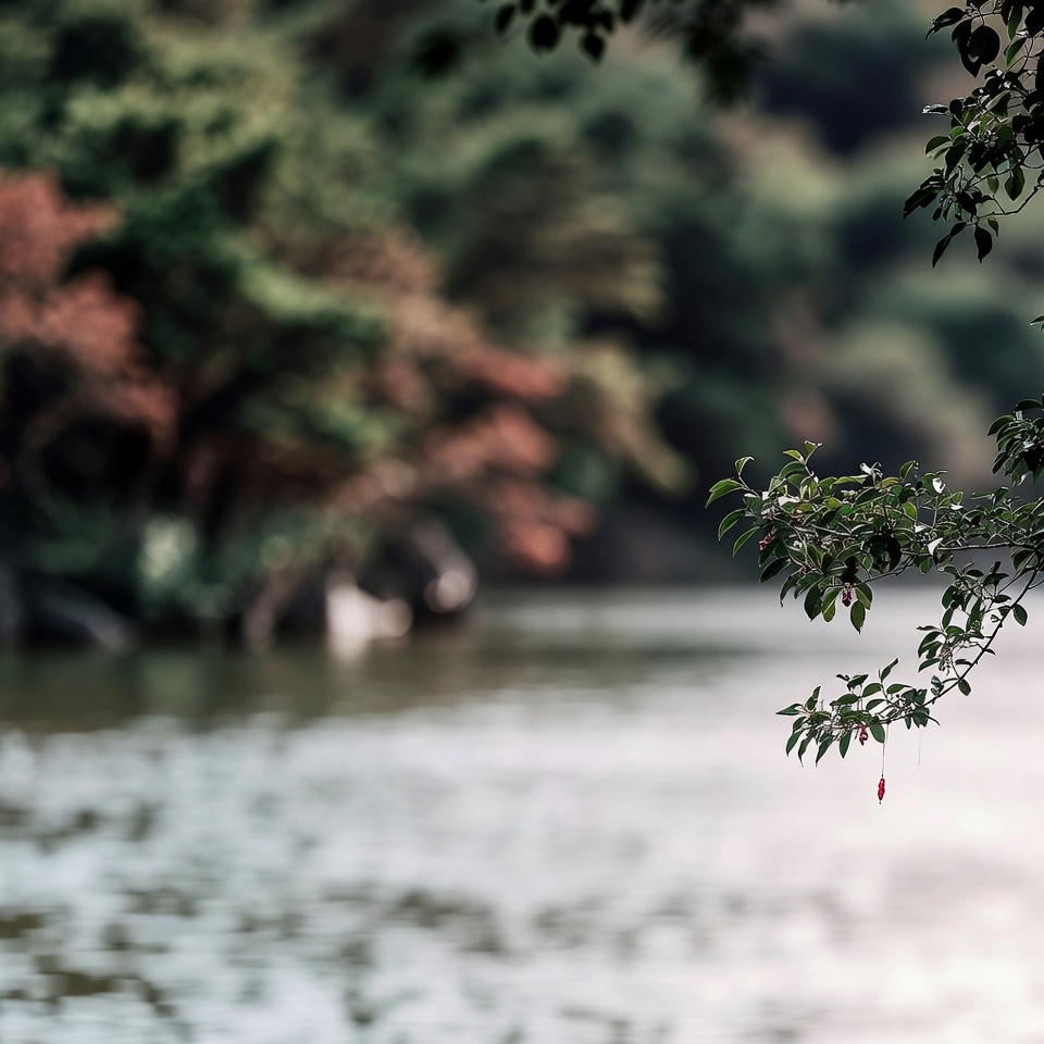 40歳以上の男性のための強力な天然ブレンド:強さと活力を取り戻す