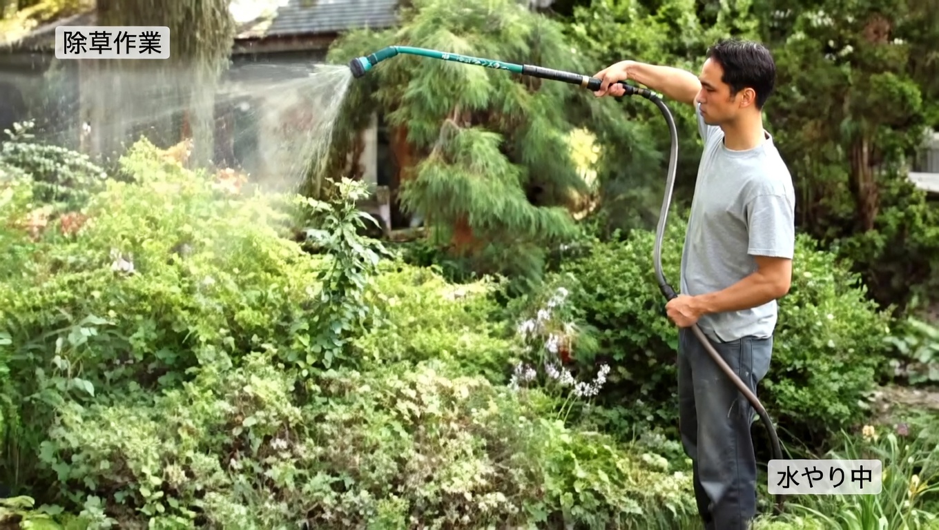 生命の奇跡の葉がもたらす11の驚くべき効能