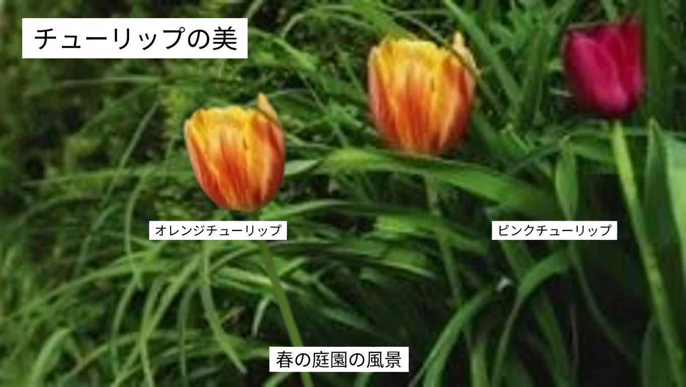 ジュニパー:その効能と用途の総合ガイド