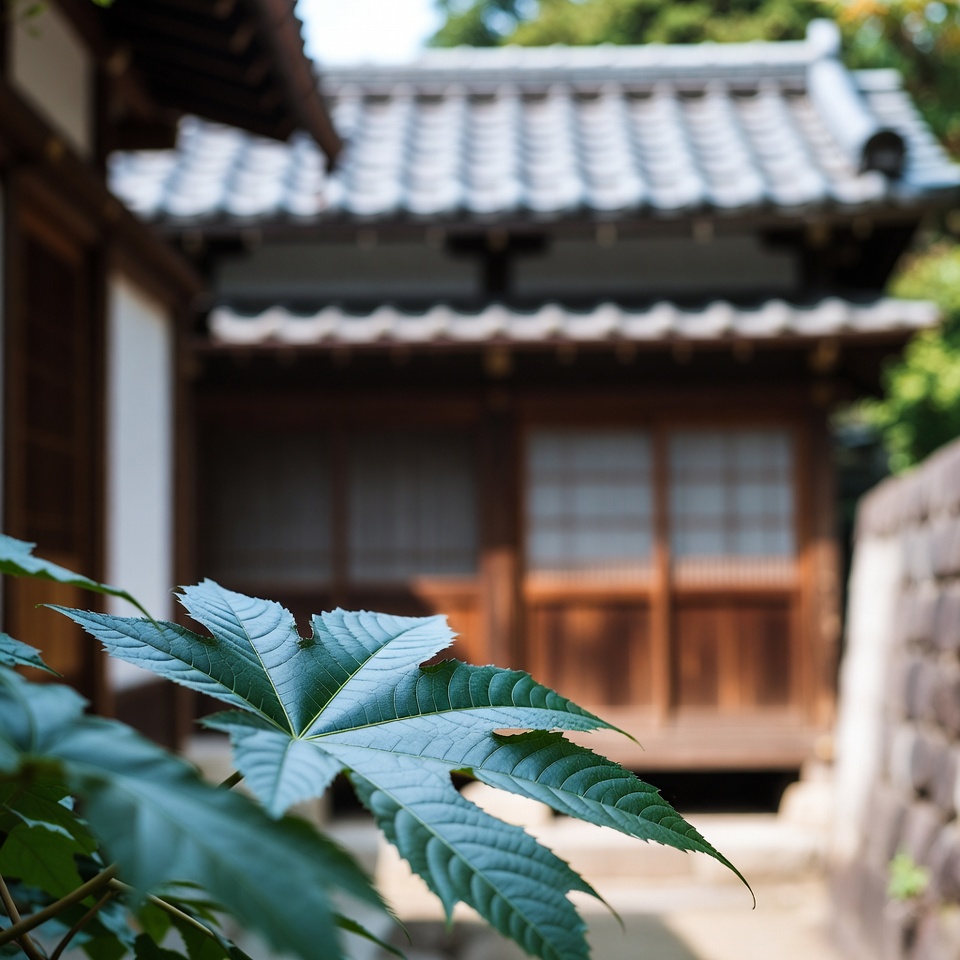 トウゴマの葉:伝統的な効能と重要な注意点