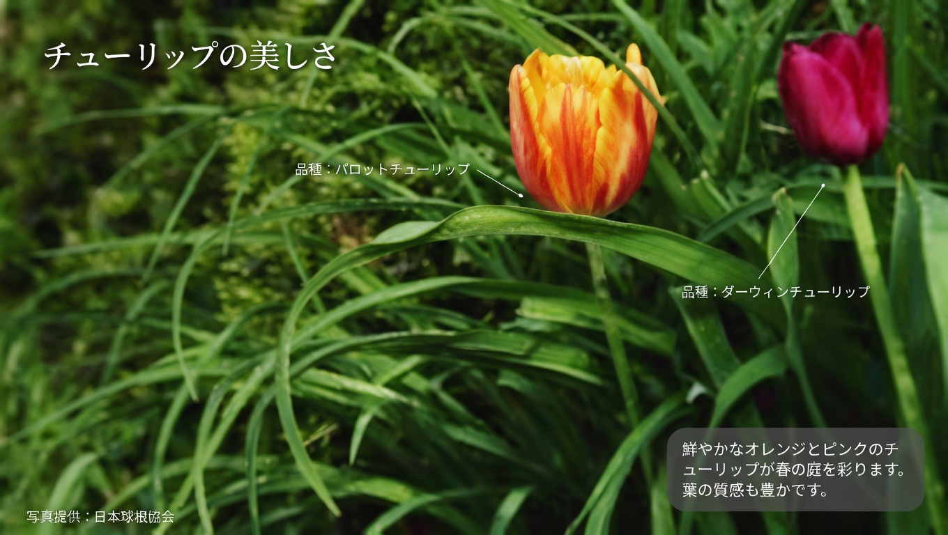 ハイビスカスの葉と花:効能と手作りでの活用法