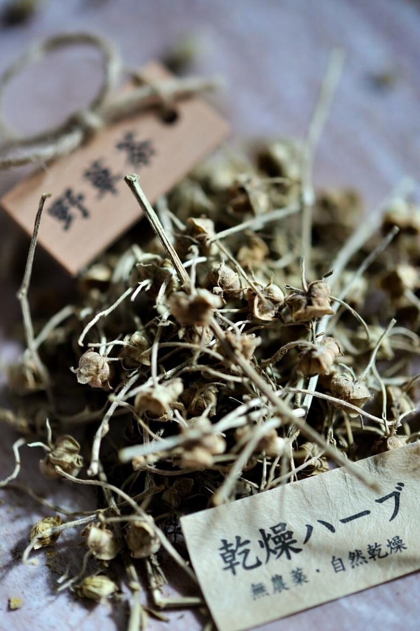 腎臓に害を与え、タンパク尿を悪化させる可能性のある一般的な薬10選