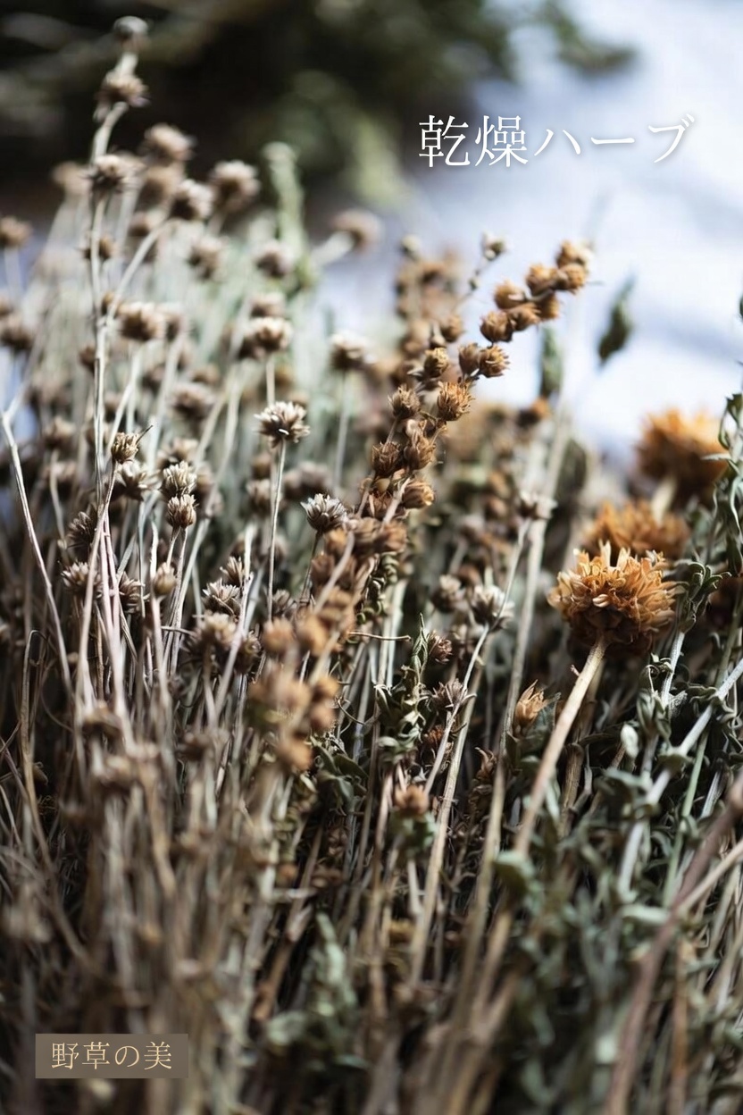 腎臓に害を与え、タンパク尿を悪化させる可能性のある一般的な薬10選