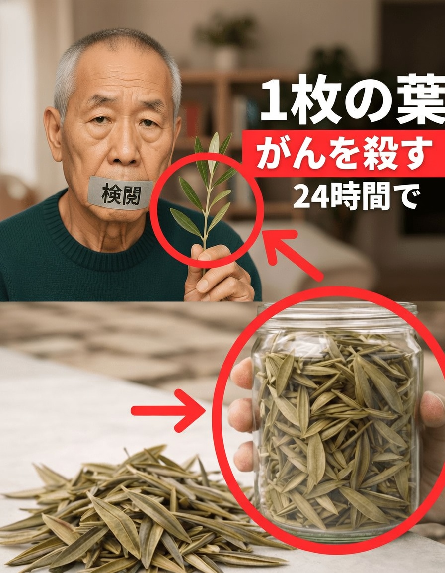 見過ごされてきた葉が、がん細胞と闘う体を助けるかもしれない