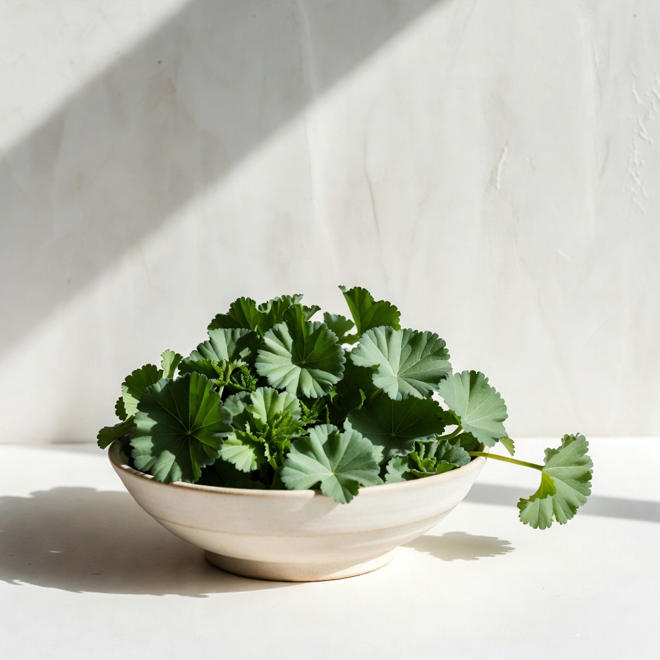 スベリヒユの健康効果を探る:栄養豊富なパワーフード