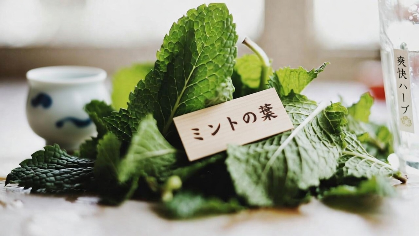 オレガノ・オレホン：視力を自然に守ってくれるかもしれない、あまり知られていないハーブ