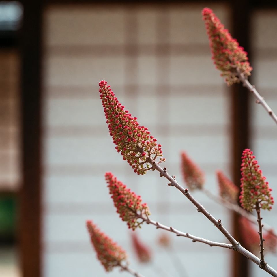 スマックの驚くべき効能とその使い方