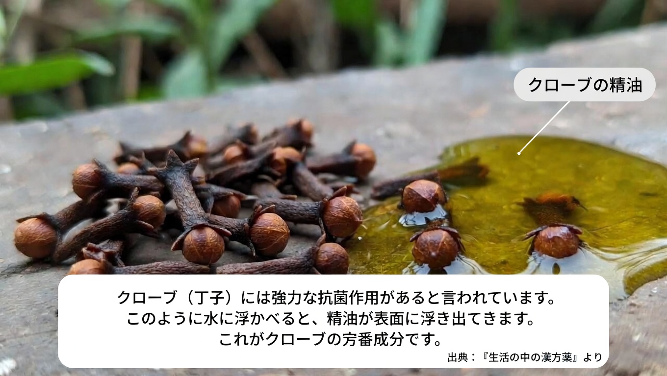 加齢とともに若々しい髪を保つクローブの可能性を発見する