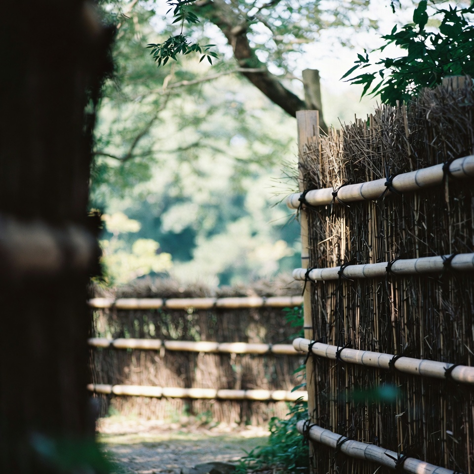 いぼを自然に治す方法