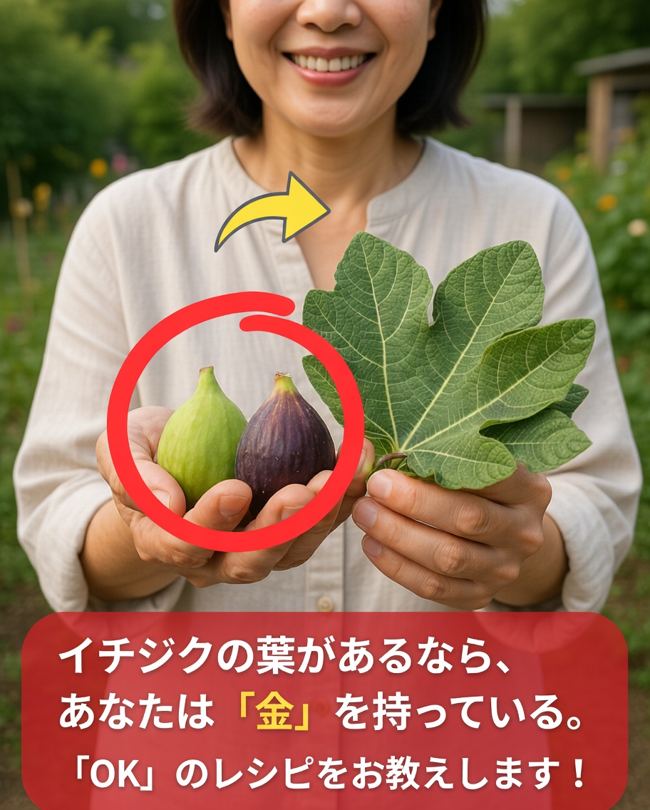 イチジクの葉に隠された力：一度は試してみたいシンプルなハーブティー