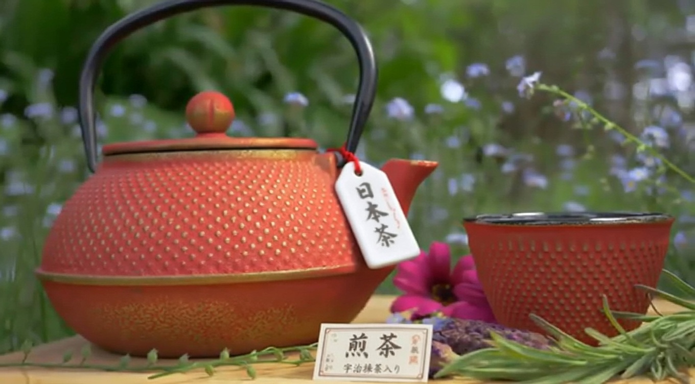 肺の感染症を撃退し、粘液を除去する効果があるハーブ15選