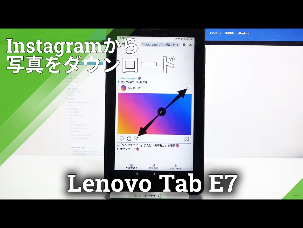 肺の感染症を撃退し、粘液を除去する効果があるハーブ15選