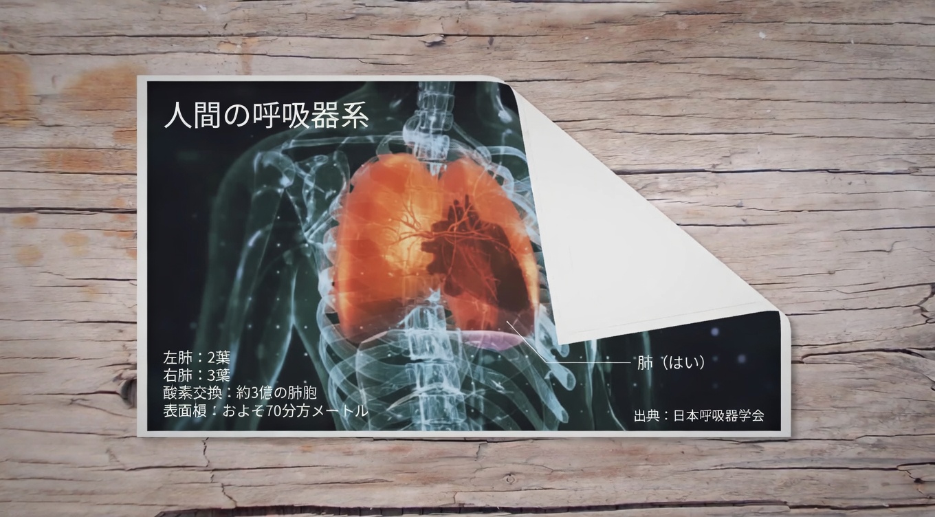 肺の感染症を撃退し、粘液を除去する効果があるハーブ15選