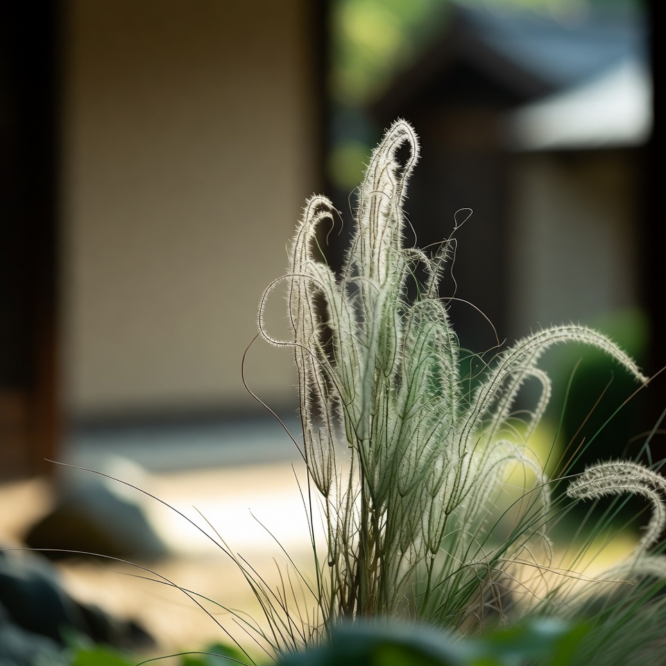 しぶとい草の多様な使い道