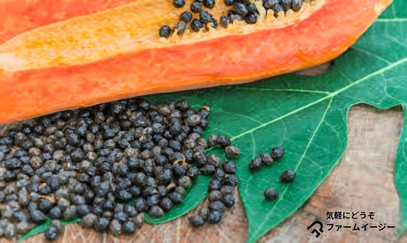 パパイヤの種が消化の健康と全身の健康にもたらす可能性のある利点の探究