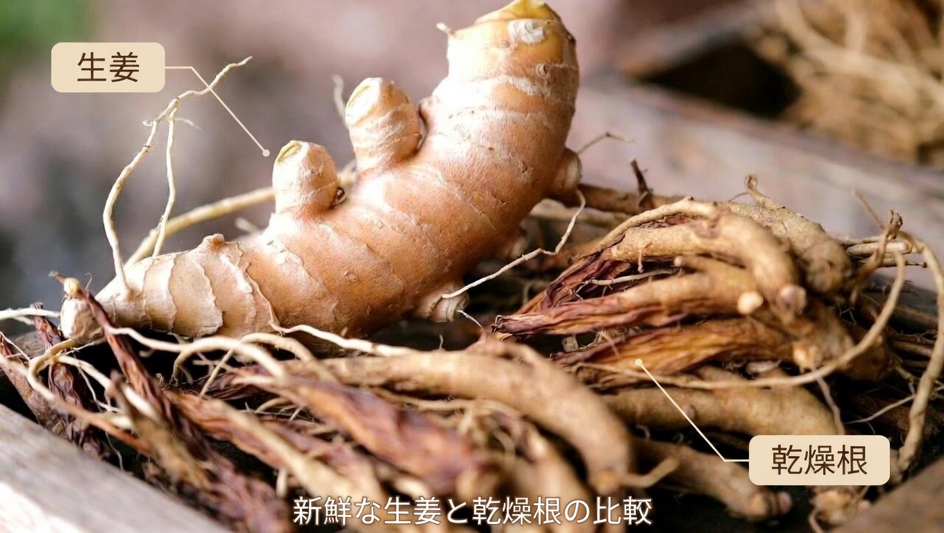 60歳からの毎日ウォーキングに：血行をサポートし、足取りを強くする3つのハーブティー