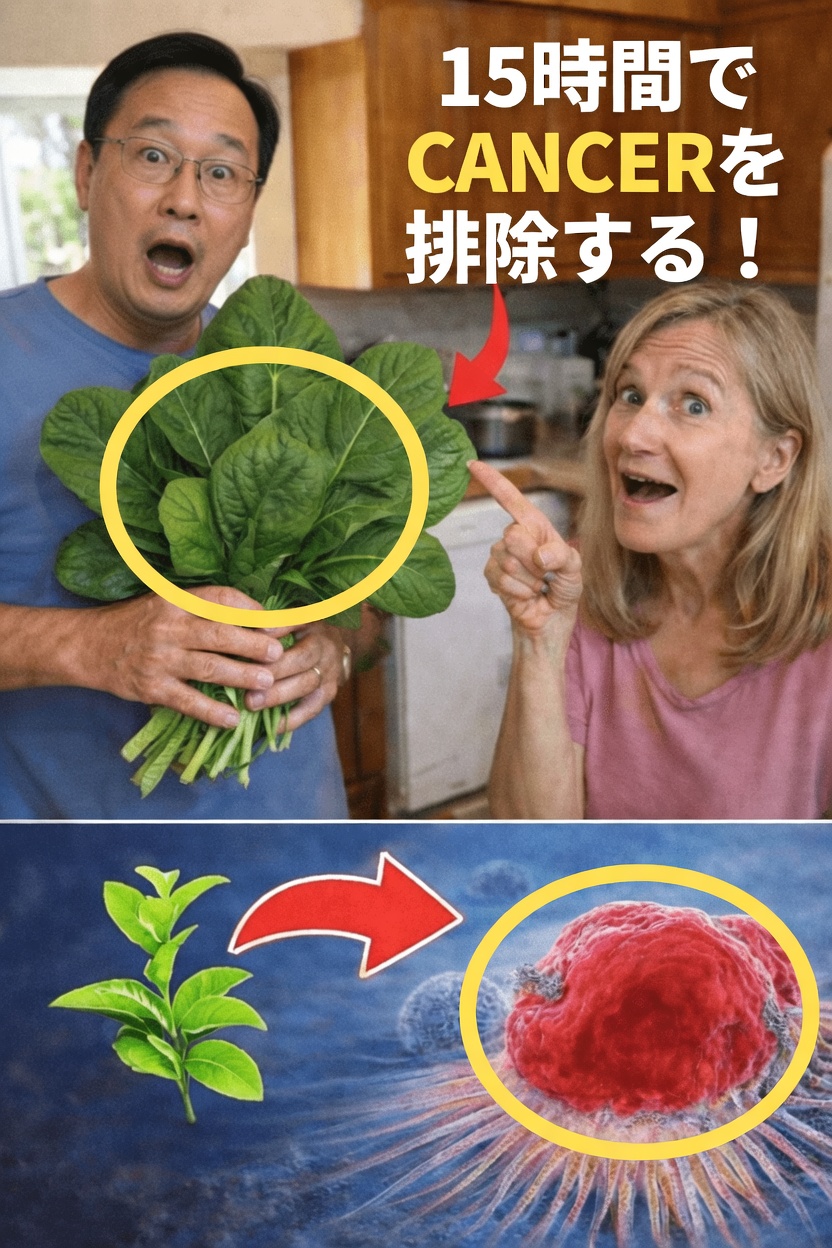 なぜ葉物野菜とがん予防が話題になっているのか