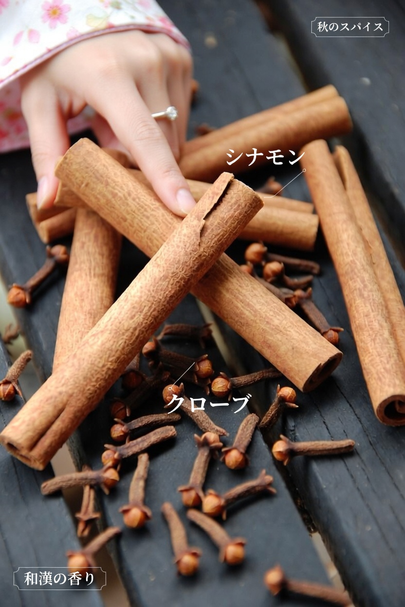 シナモンとクローブの身近な魅力を発見：日常に取り入れるシンプルな方法