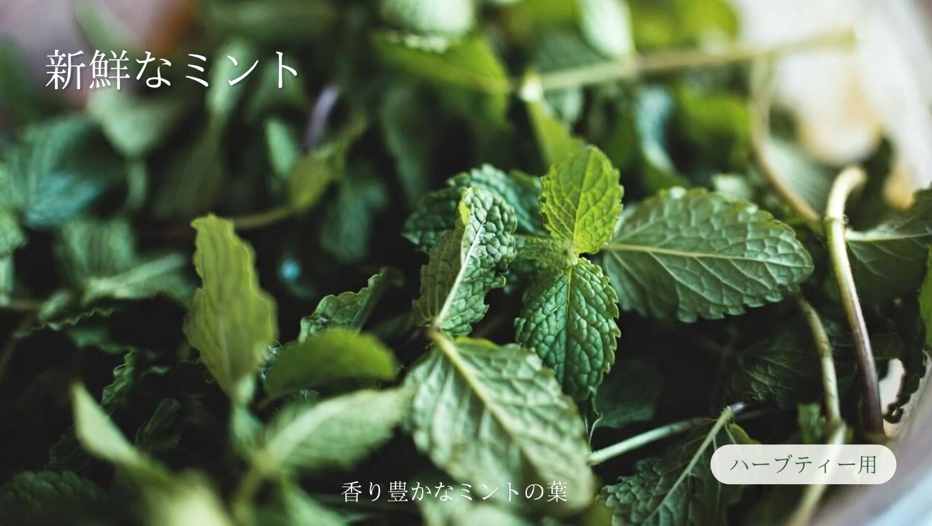 目の健康サポートにミントの葉を取り入れるべき理由