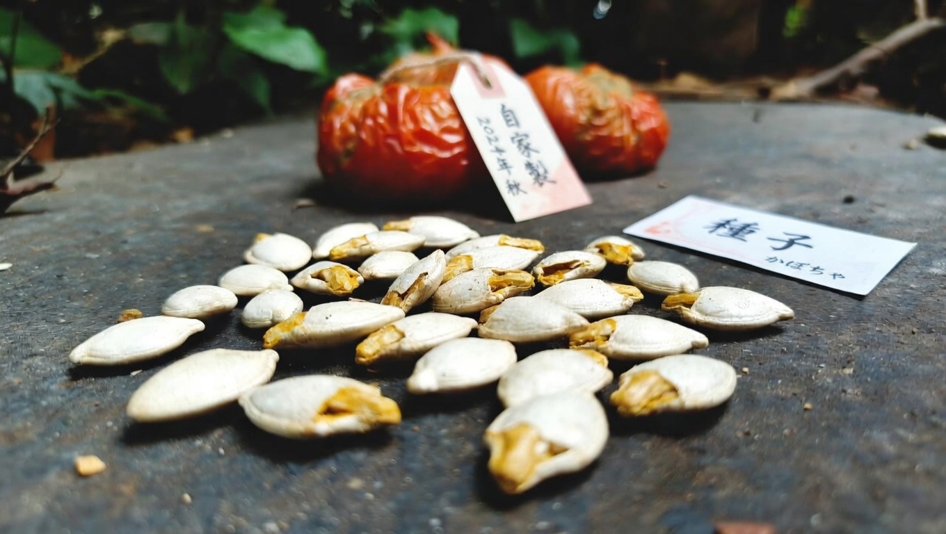 40歳以上の男性の前立腺と尿路の健康を支えるシンプルな習慣と食品