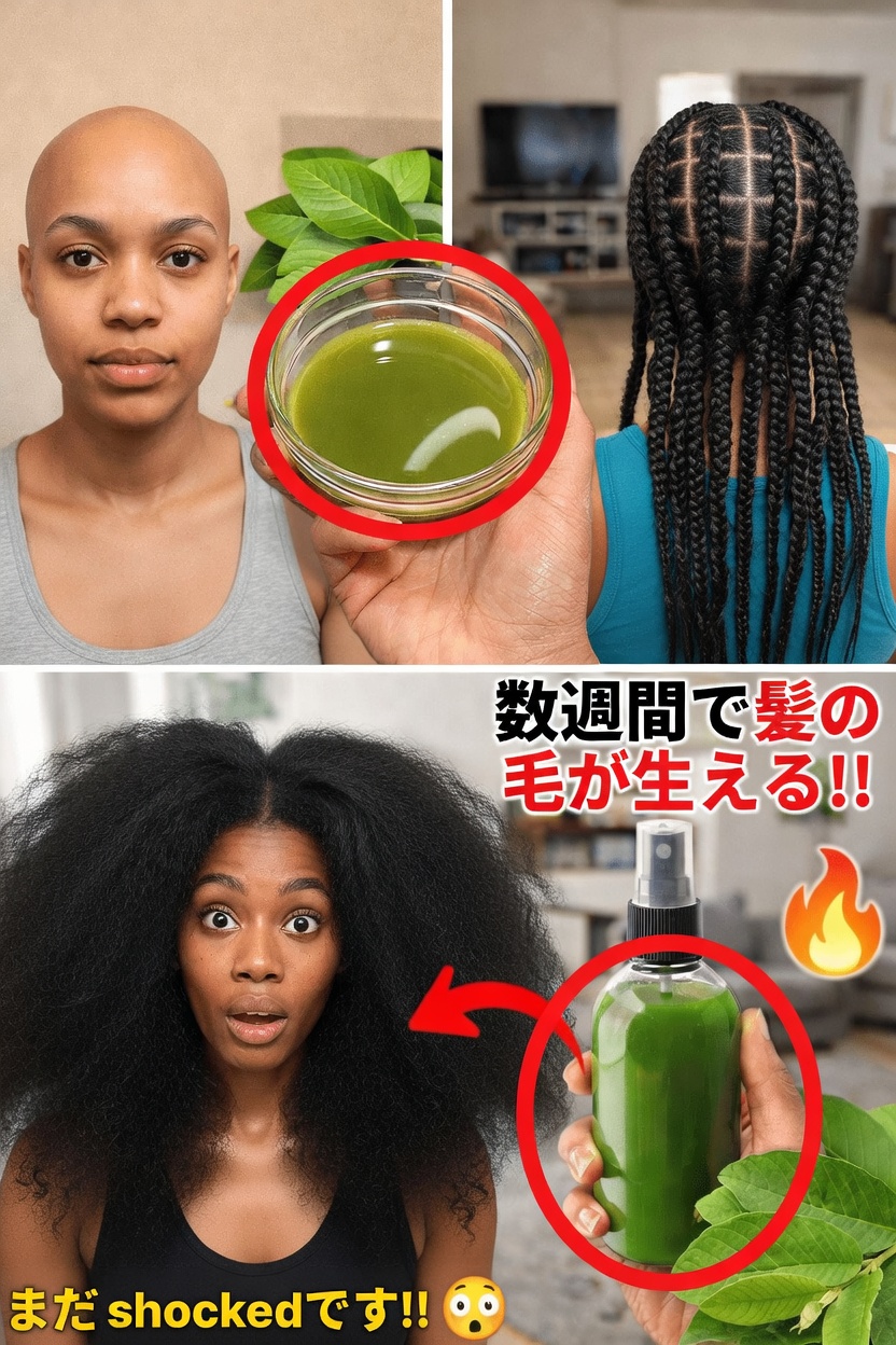 グアバの葉は髪を健やかに保つのに役立つ？その潜在的な効果と使い方を徹底解説