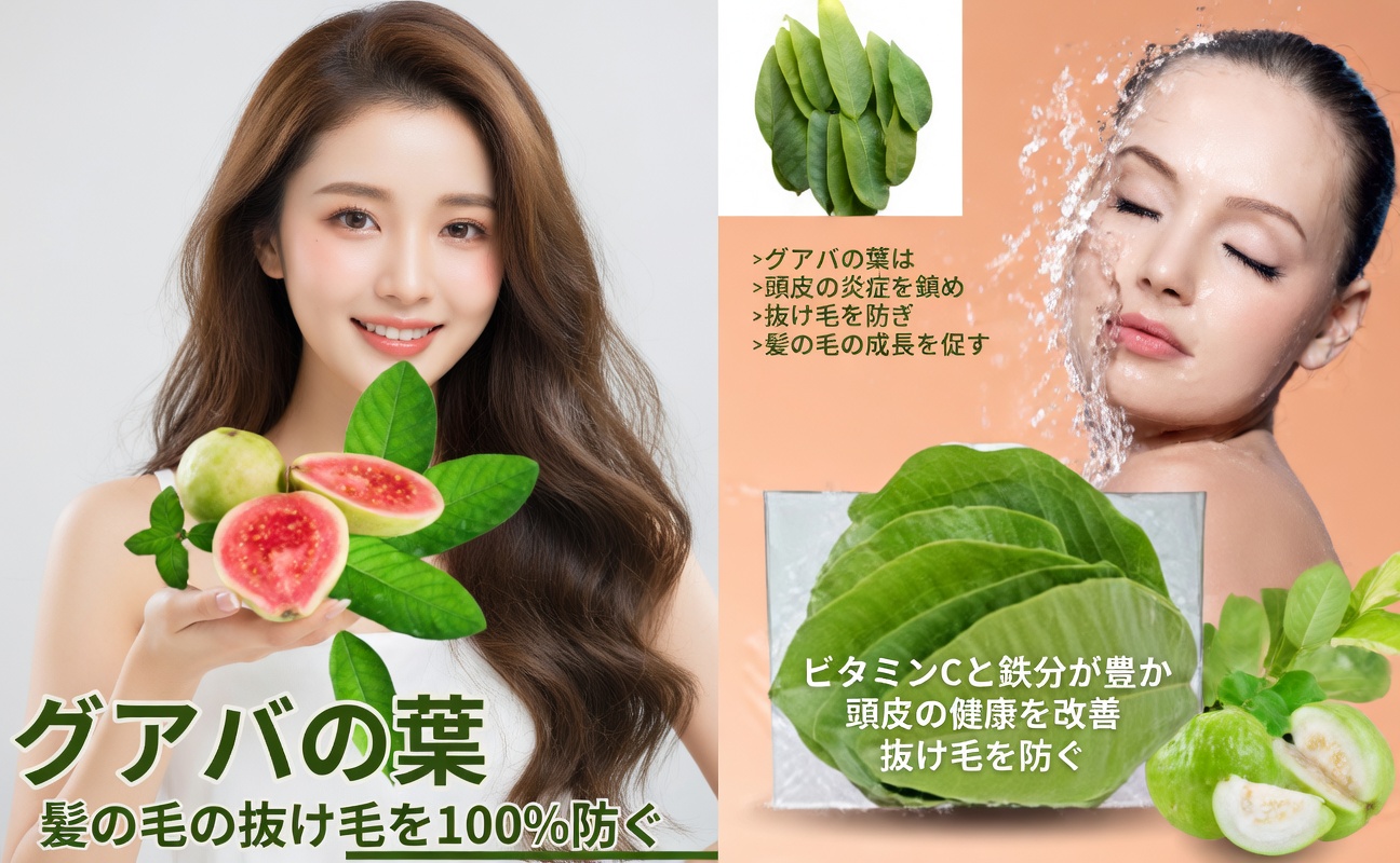 グアバの葉は髪を健やかに保つのに役立つ？その潜在的な効果と使い方を徹底解説