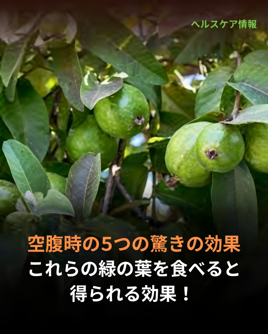 グアバの葉は髪を健やかに保つのに役立つ？その潜在的な効果と使い方を徹底解説