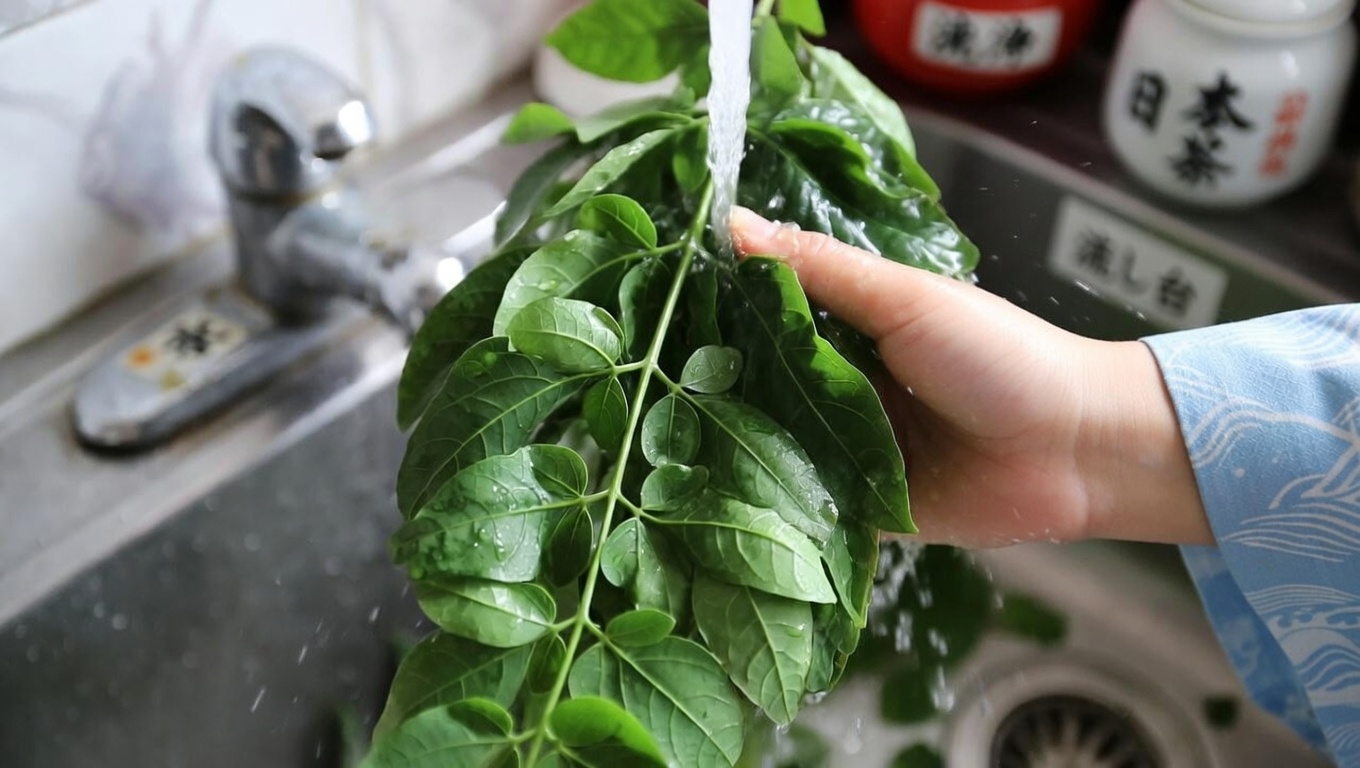 モリンガ葉茶の潜在的な健康効果を探る：自然な毎日の習慣