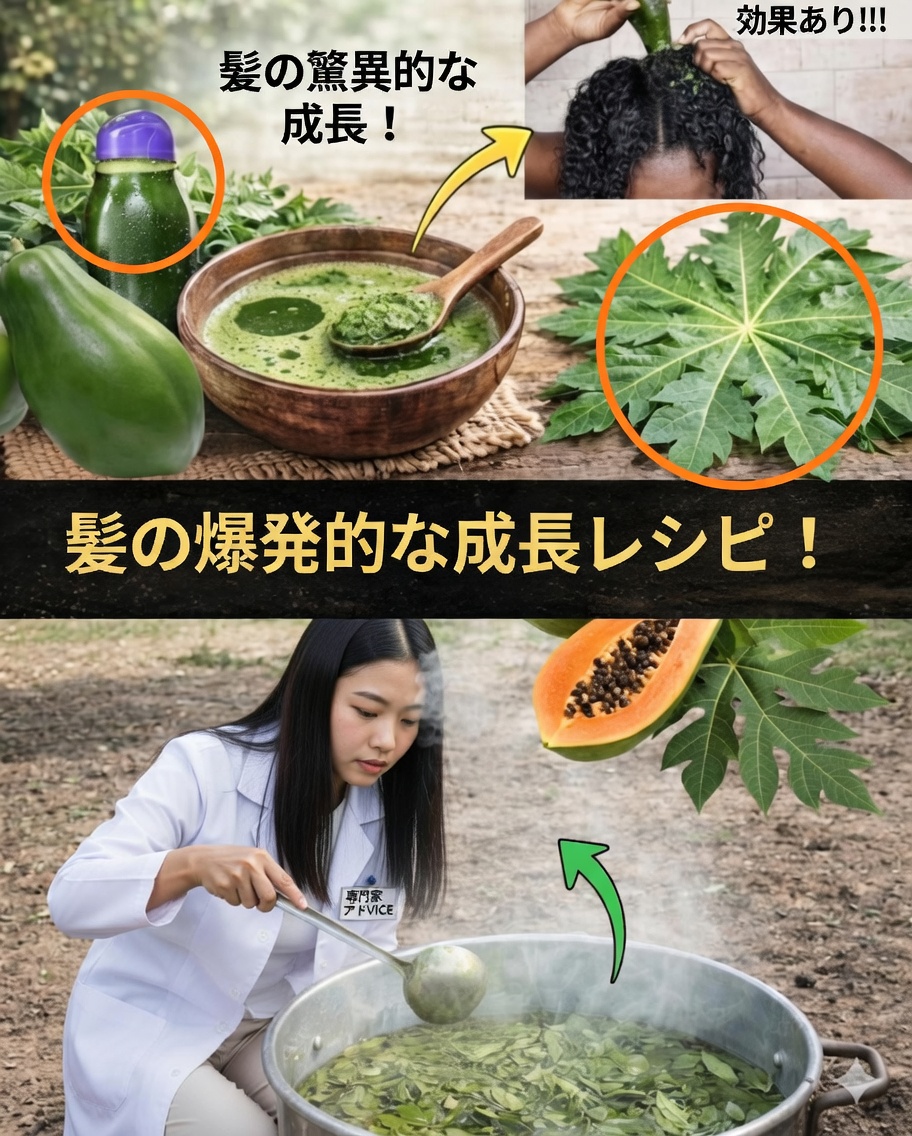 🌿「葉の力を知る…」:これらの薬用植物が実際にもたらすもの(神話に惑わされずに)