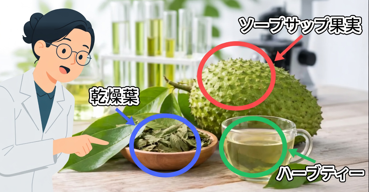 グアナバナとがん：神話と科学が語ること