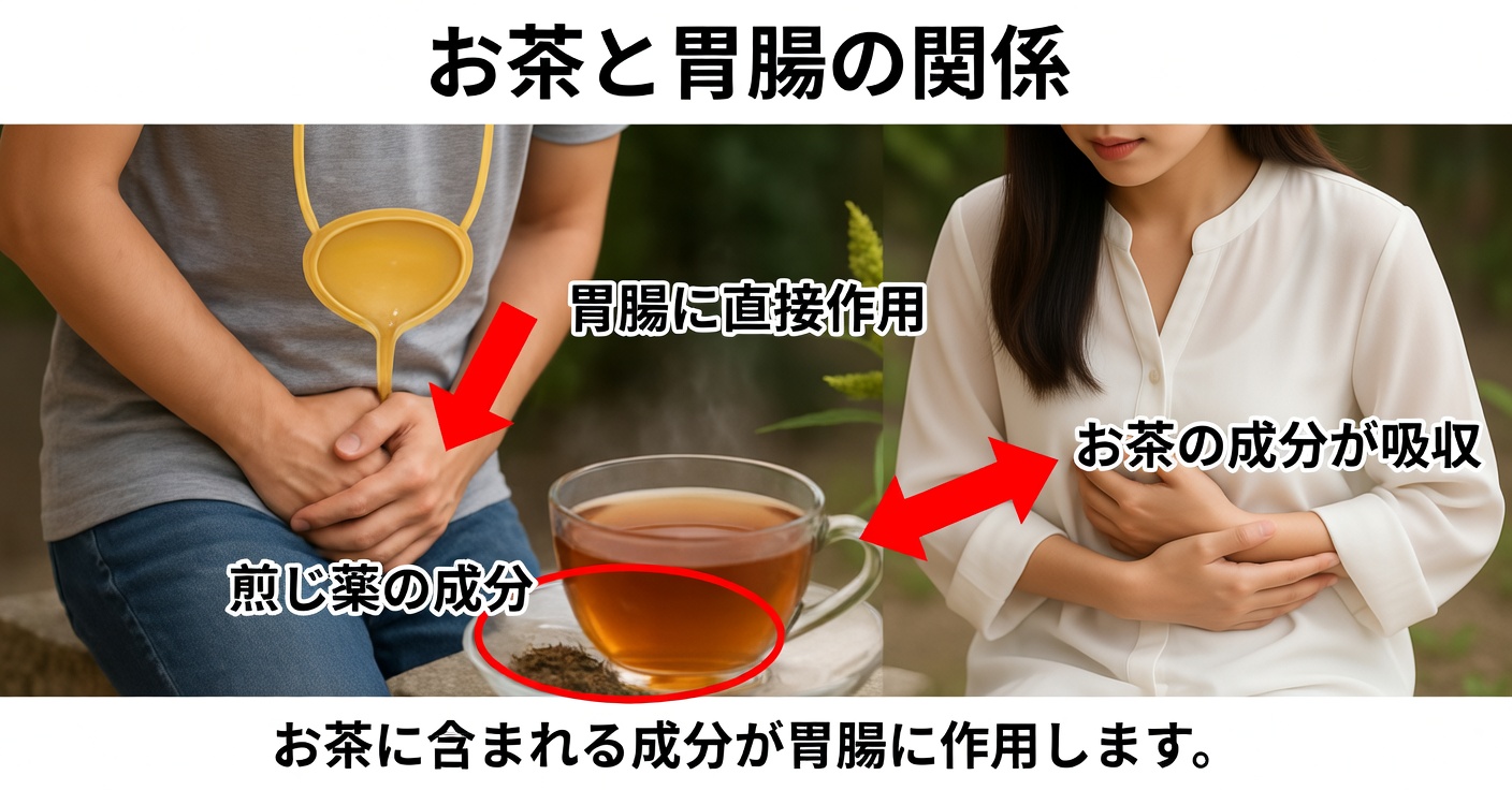 前立腺のためのイラクサとカボチャの療法