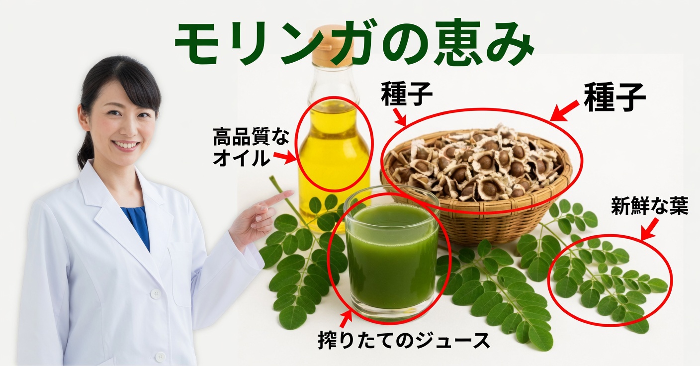 目のためのモリンガ:その効果と使い方