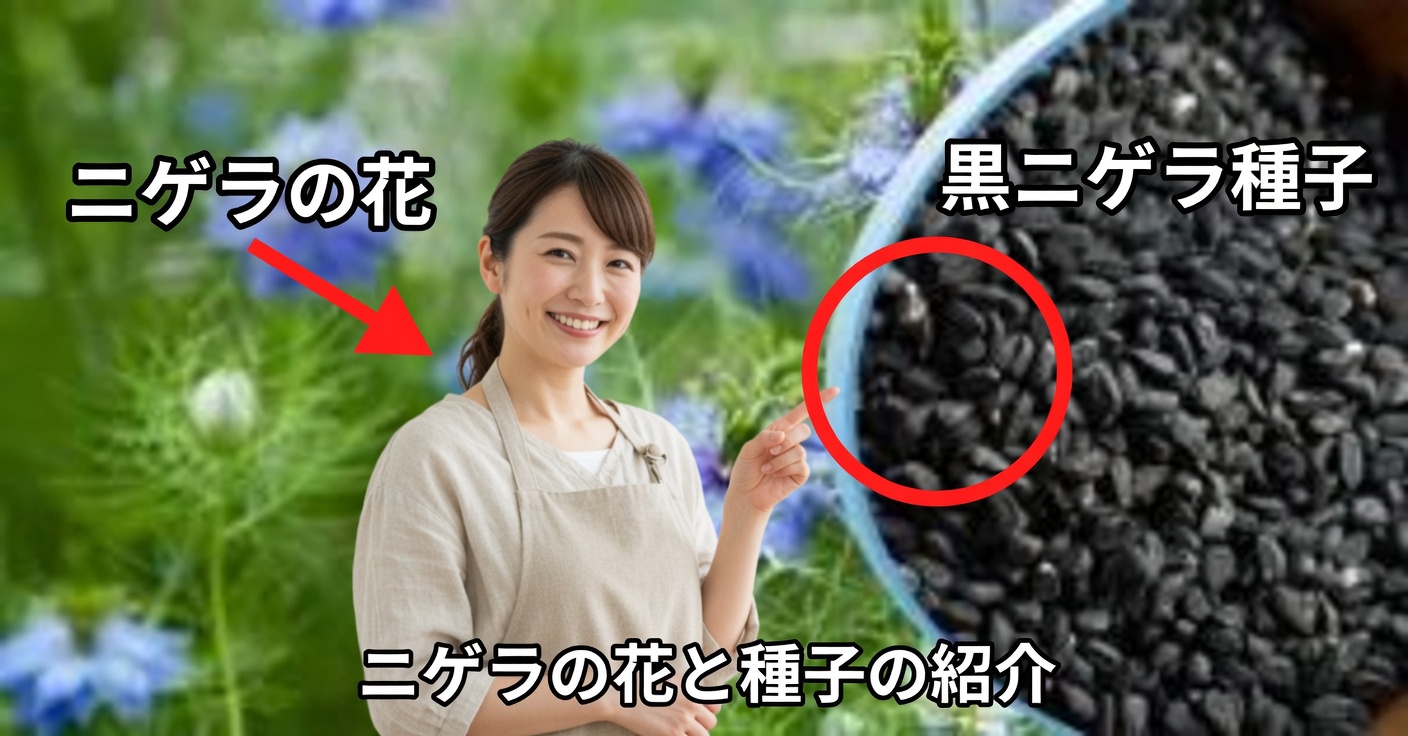 黒クミンの効能：使い方とレシピ