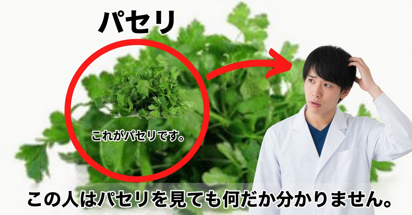 視力に効くパセリ:効果的な自然療法