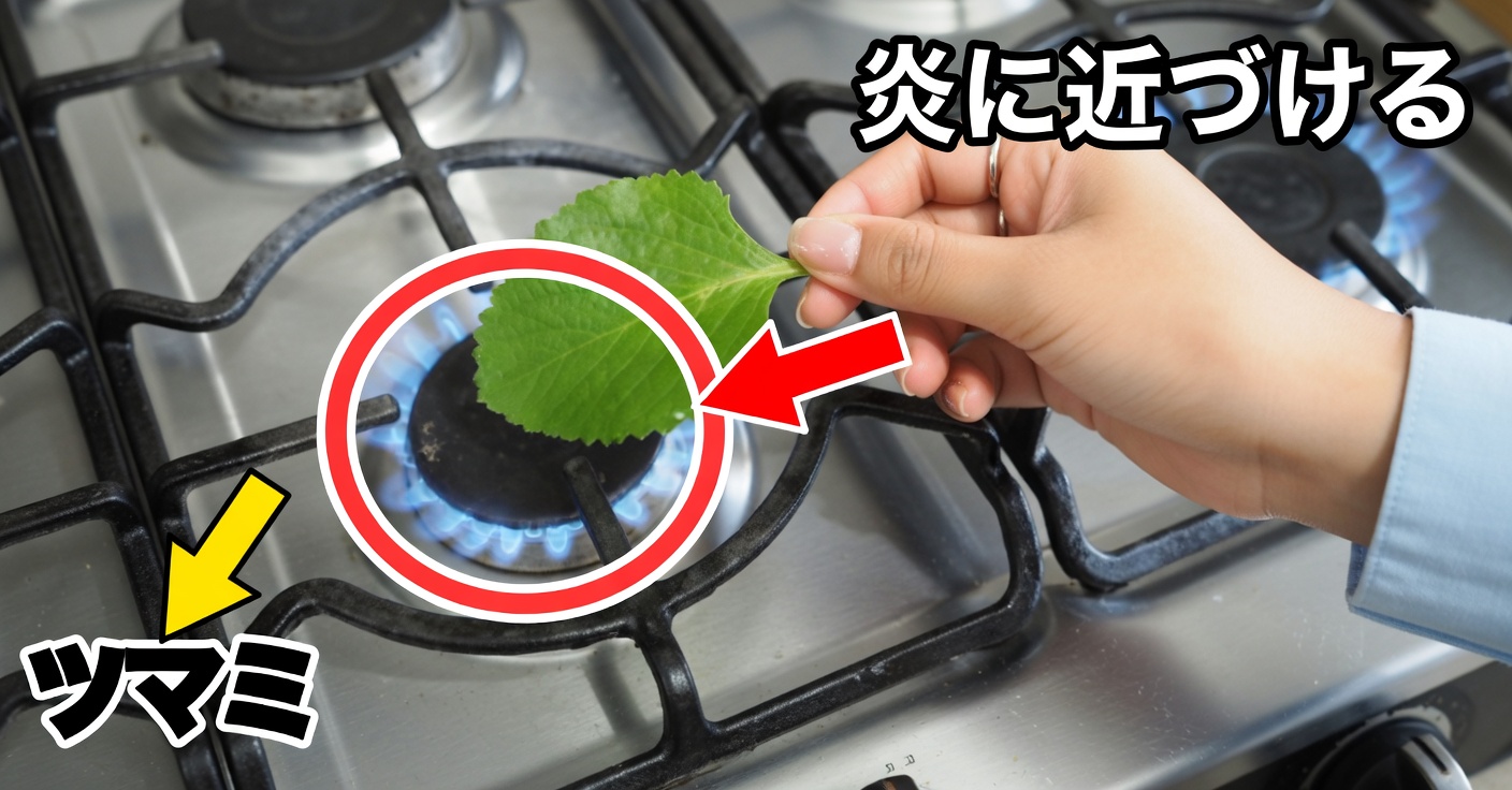 オレガノ・オレホンの葉を温めることの効果