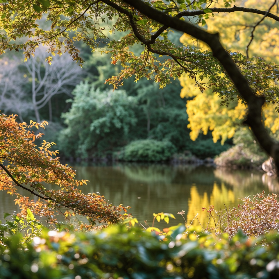 丈夫な骨と関節のためのオーガニックな解決法