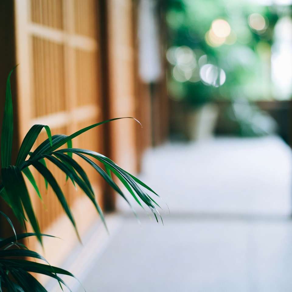 インド式の秘密:急速な発毛と薄毛対策