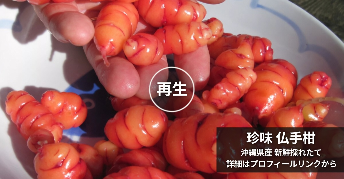 ハイビスカスティーの自然な減量効果を発見しよう