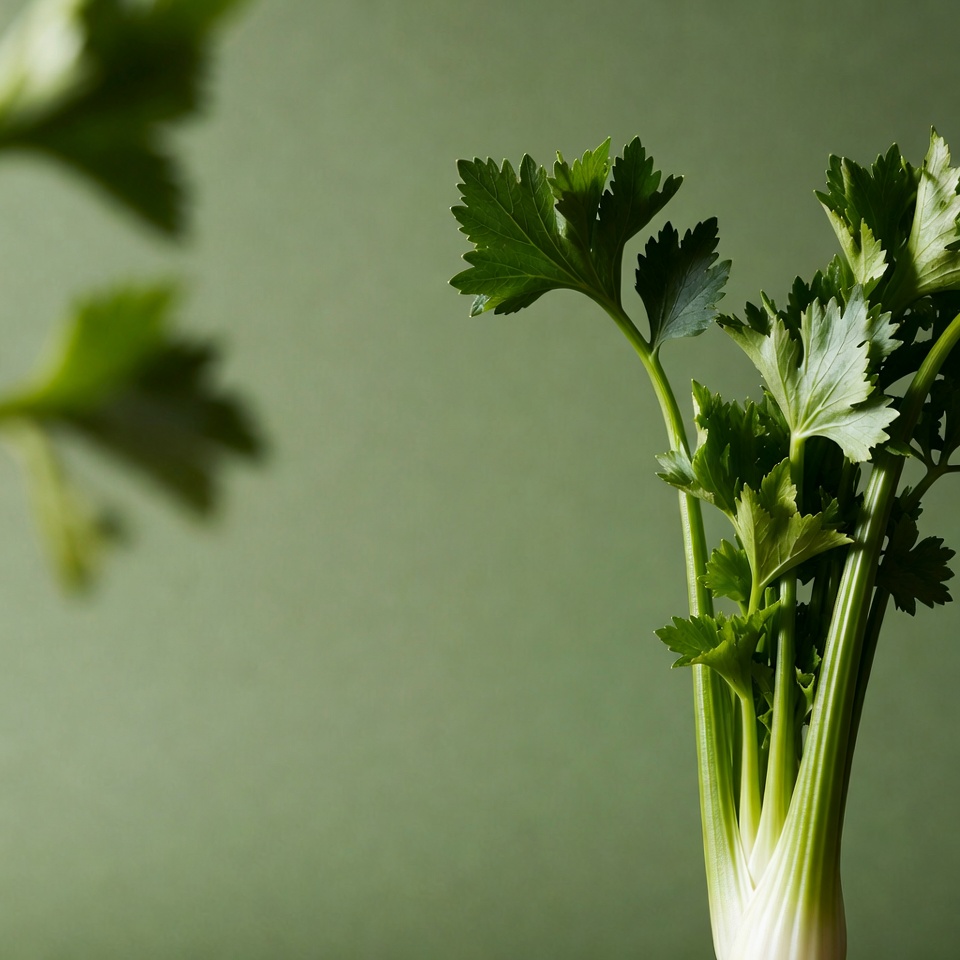 セロリの力を解き放つ:肝臓の健康を高める最強レシピ