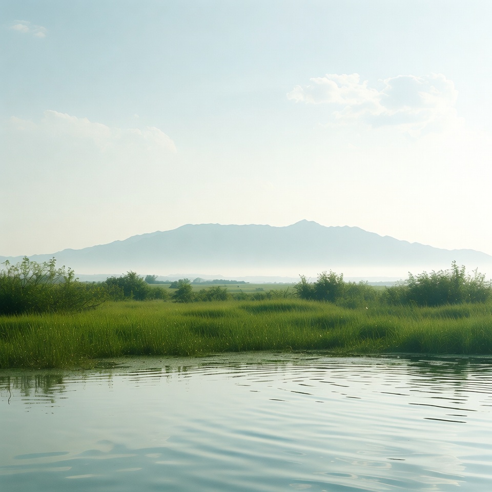 尿酸・炎症・食欲抑制のための天然オイル