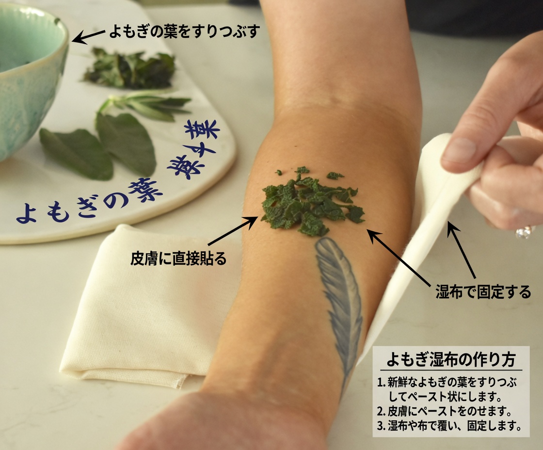 シダ・アクータに秘められた6つ以上の健康効果：強力な治癒力を持つ天然の治療薬